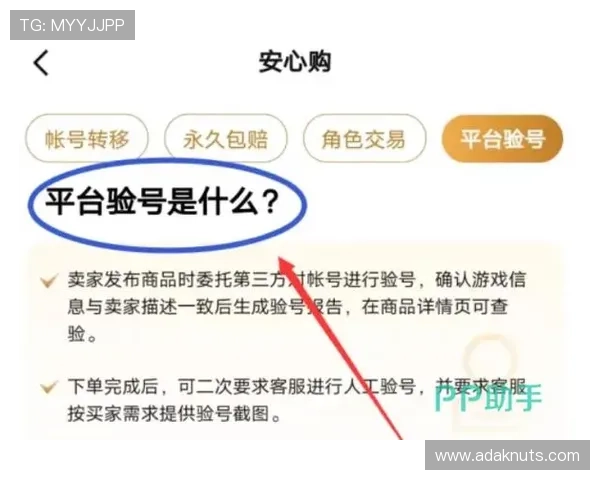 九游网站登录入口安全验证流程详解，保障账号信息安全的实用技巧